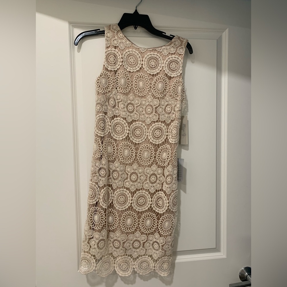 Eliza J dress